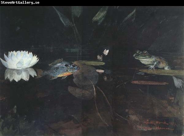 Winslow Homer The Mink Pond (mk44)